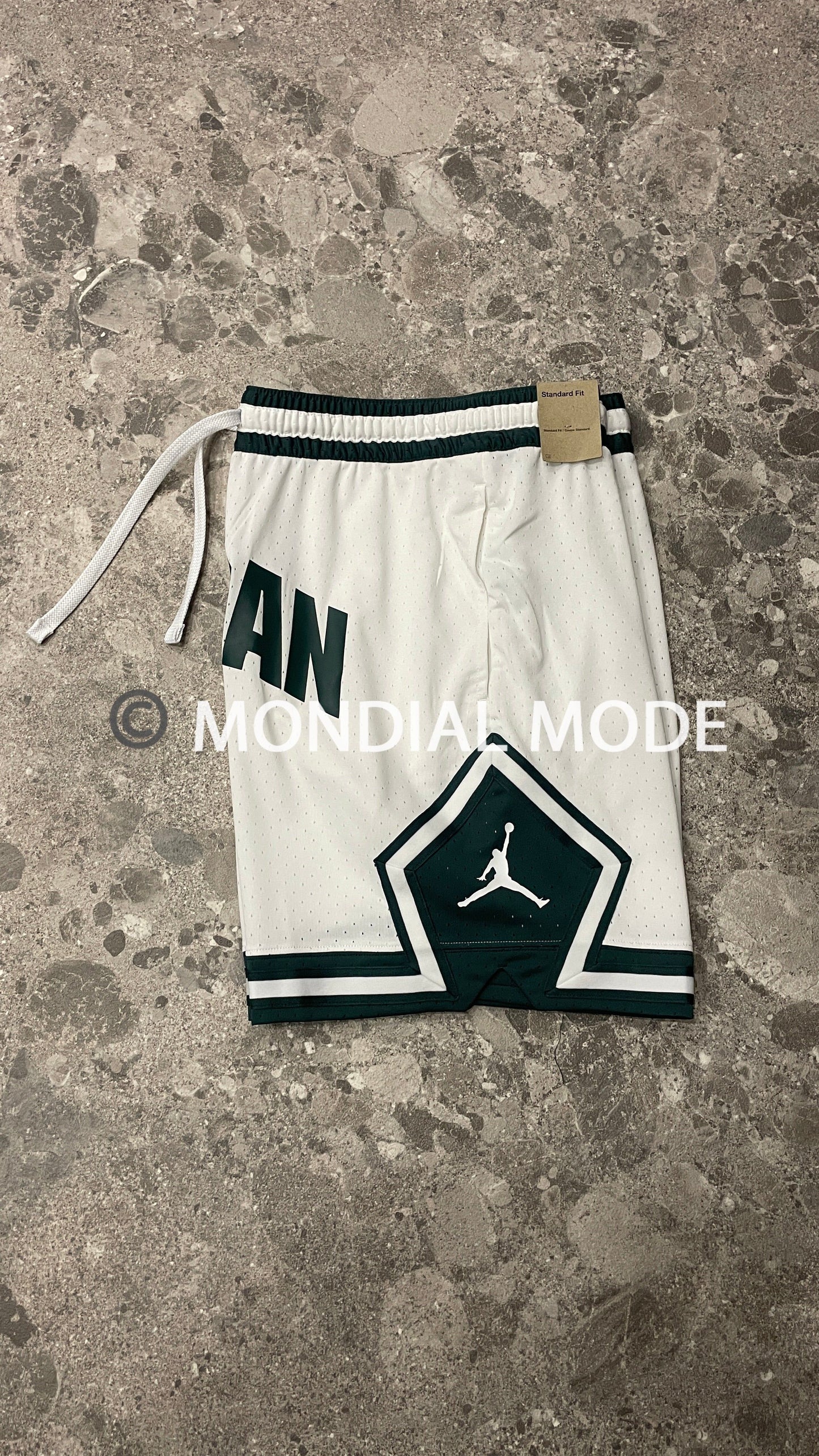 NIKE FV8612-100